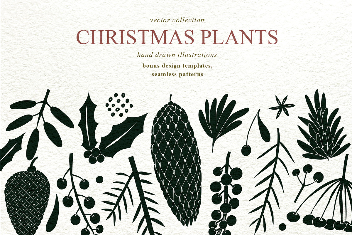 Christmas Plants Vector Collection, a Decorative Illustration by Lubov Illustrations Shop (Photo 1 of 6)