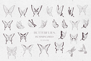 Delicate Wedding Design., a Decorative Illustration by Designwork (Thumbnail 14 of 16)
