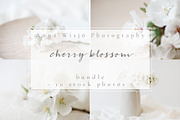 Cherry blossom | stock bundle containing stock photo, styled stock, and, a Nature Photo by Anna Wisjo Studio (Thumbnail 1 of 3)