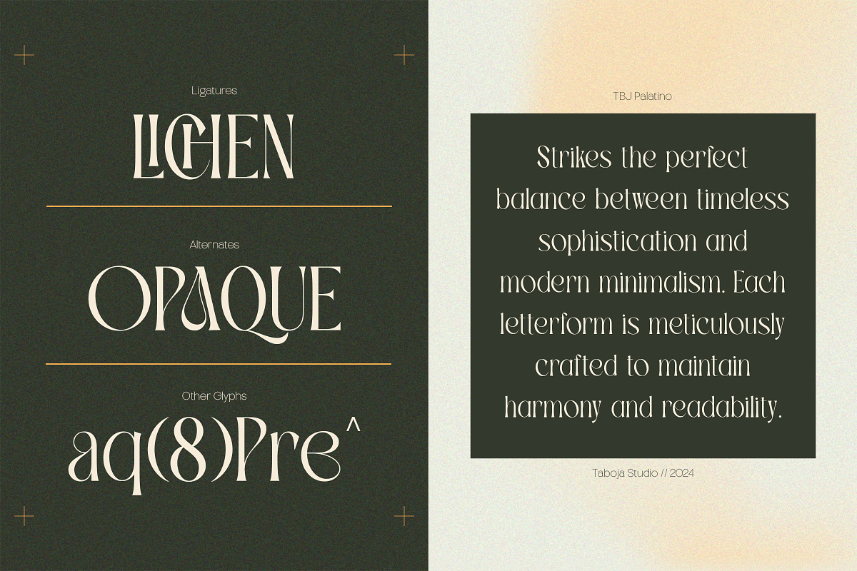 Elegant Condensed Volume 4, a Serif Font by Taboja Studio (Photo 11 of 22)