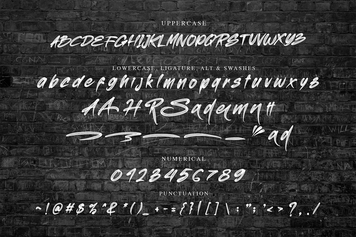SOLARONA - Brush Font, a Script Font by NTC Graphic (Photo 8 of 9)