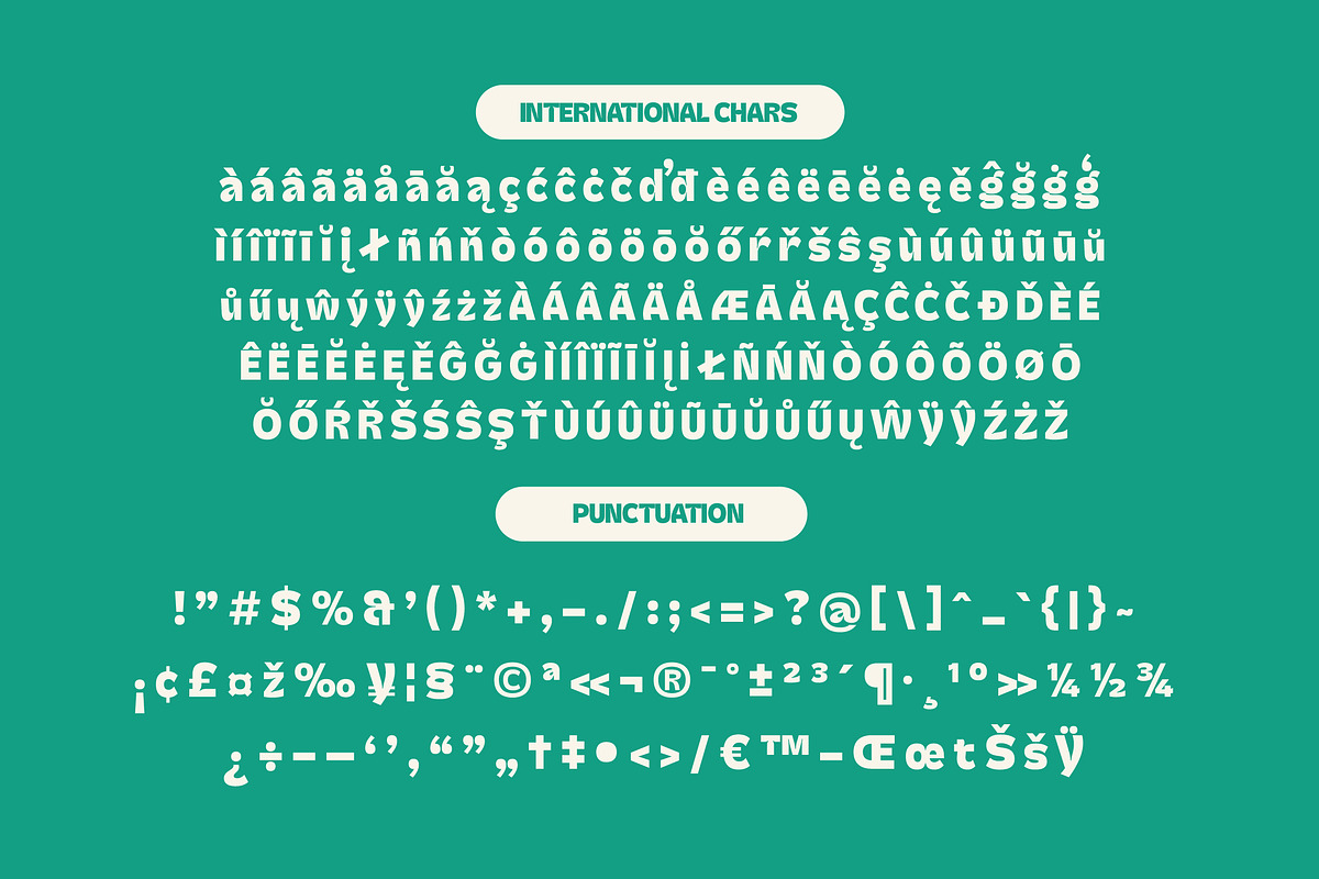 Skatyn Gator Modern Bold Serif, a Serif Font by timelesstype.co (Photo 14 of 15)