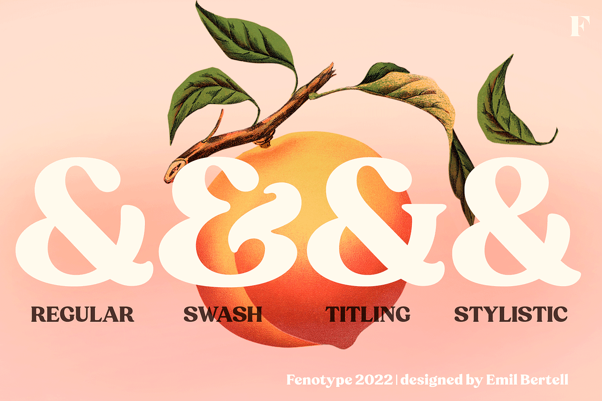 Peach Crush Serif Typeface, a Serif Font by Fenotype (Photo 7 of 16)