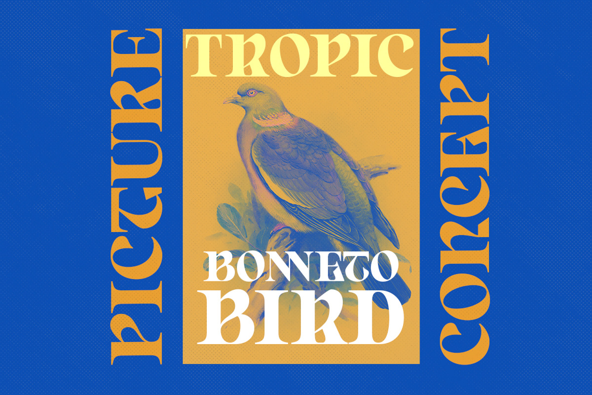 Born Spirit, a Serif Font by Dora Typefoundry (Photo 6 of 11)