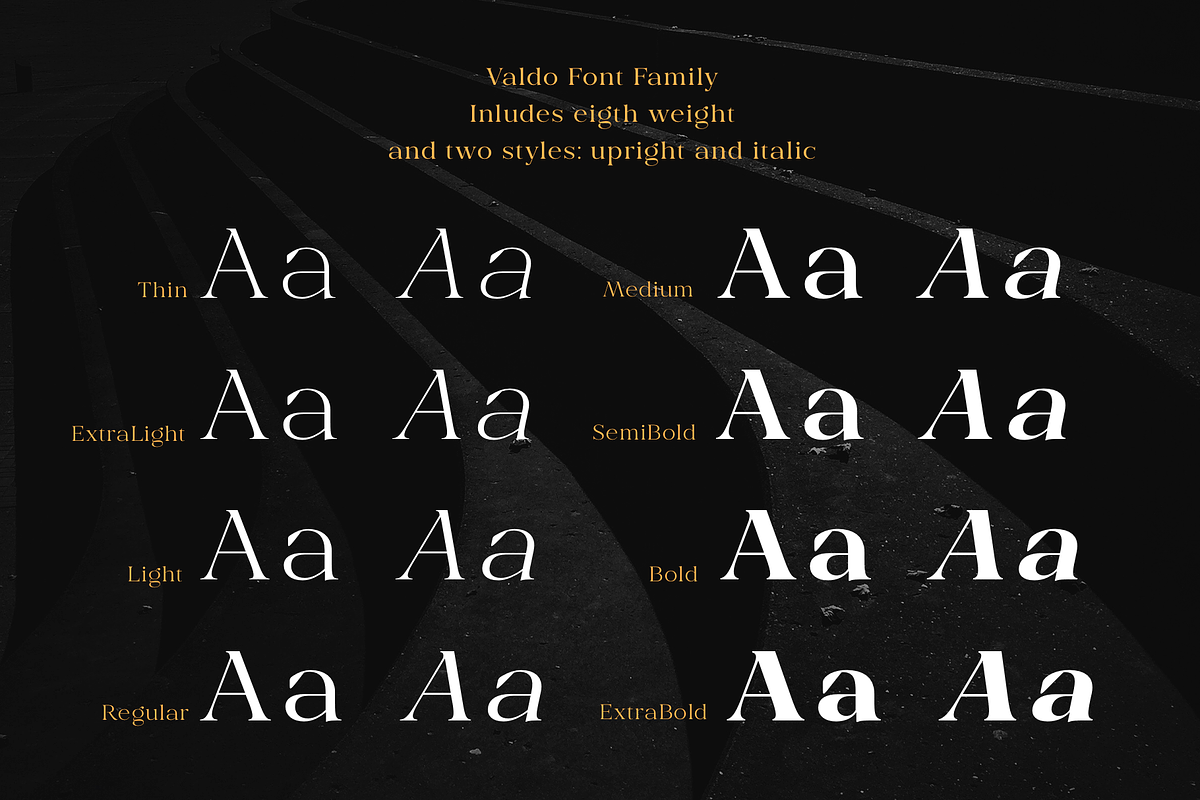 Valdo Font Family, a Serif Font by Larin Type Co. (Photo 3 of 15)