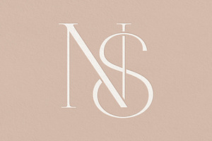 NS Monogram Logo