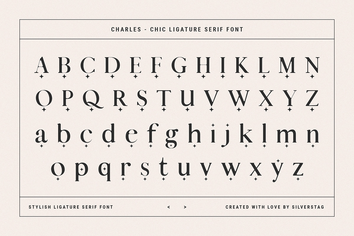 Charles - Chic Ligature Serif Font, a Serif Font by SilverStag Type Foundry (Photo 30 of 31)