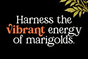 Marigold Magic: Vintage Serif Font, a Serif Font by Helotype (Thumbnail 2 of 8)