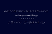 Bunga Sheila - Font, a Handwritten Font by artchiles_design (Thumbnail 4 of 5)