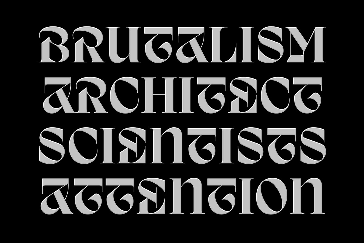 Amient – Modern Display Font, a Serif Font by Piotr Łapa (Photo 7 of 12)