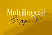 Badelosh Ralintesla Modern Font Duo, a Serif Font by Storytype Studio (Thumbnail 10 of 15)