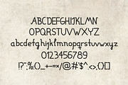 Font Edison (latin and cyrillic), a Script Font by Alyonka_lis (Thumbnail 2 of 15)