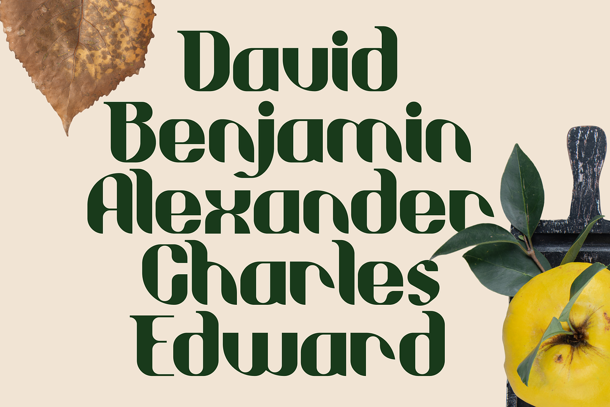 Willie Vintage Display Font, a Font by Helotype (Photo 5 of 9)