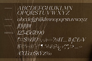 Graflows Modern Font Serif, a Serif Font by Letterena Studios (Thumbnail 14 of 15)