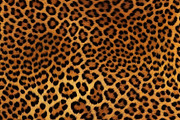Safari Animals Skin Print Texture, a Graphic by UniqueMe (Thumbnail 12 of 21)
