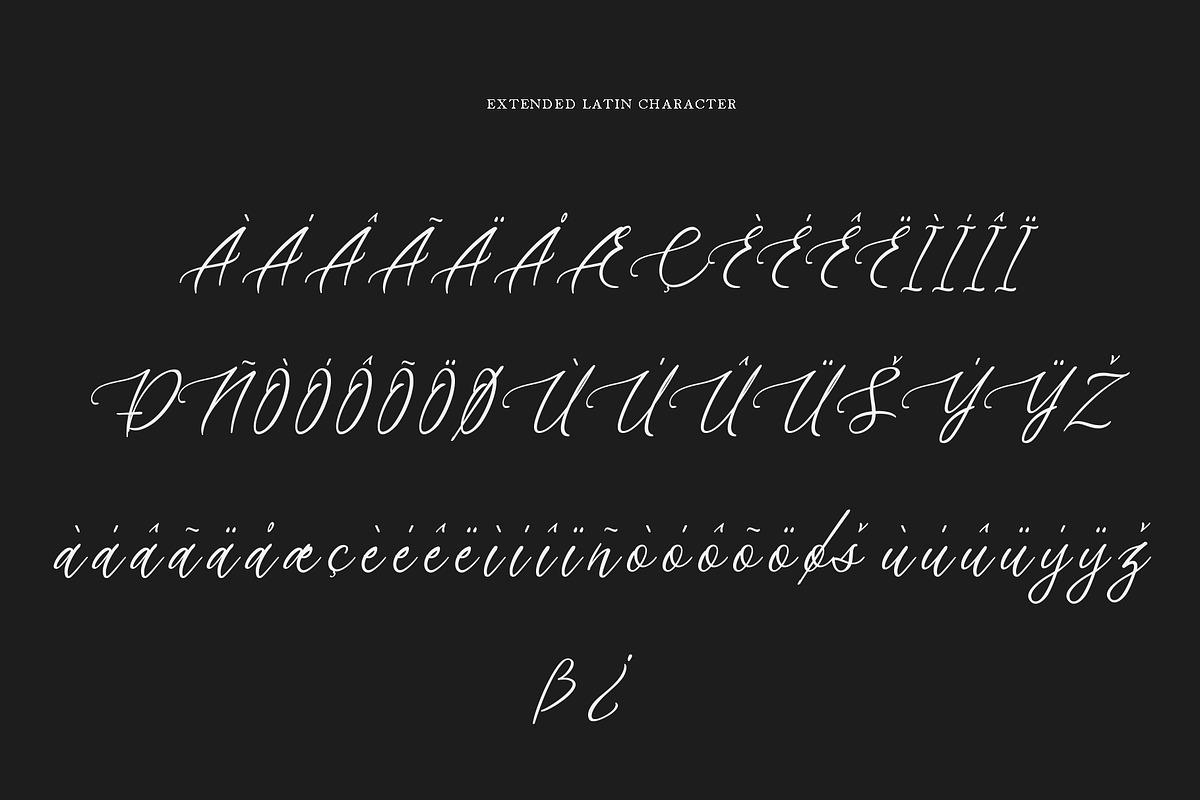 Sapha, a Script Font by rudiSasori (Photo 8 of 8)
