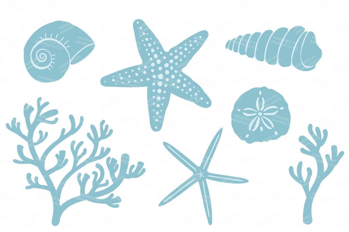 Soft Blue Vector Seashells, an Illustration by Amanda Ilkov (Photo 4 of 5)