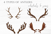 Antlers & Florals Wedding Clipart, an Illustration by Wooly Pronto (Thumbnail 5 of 6)
