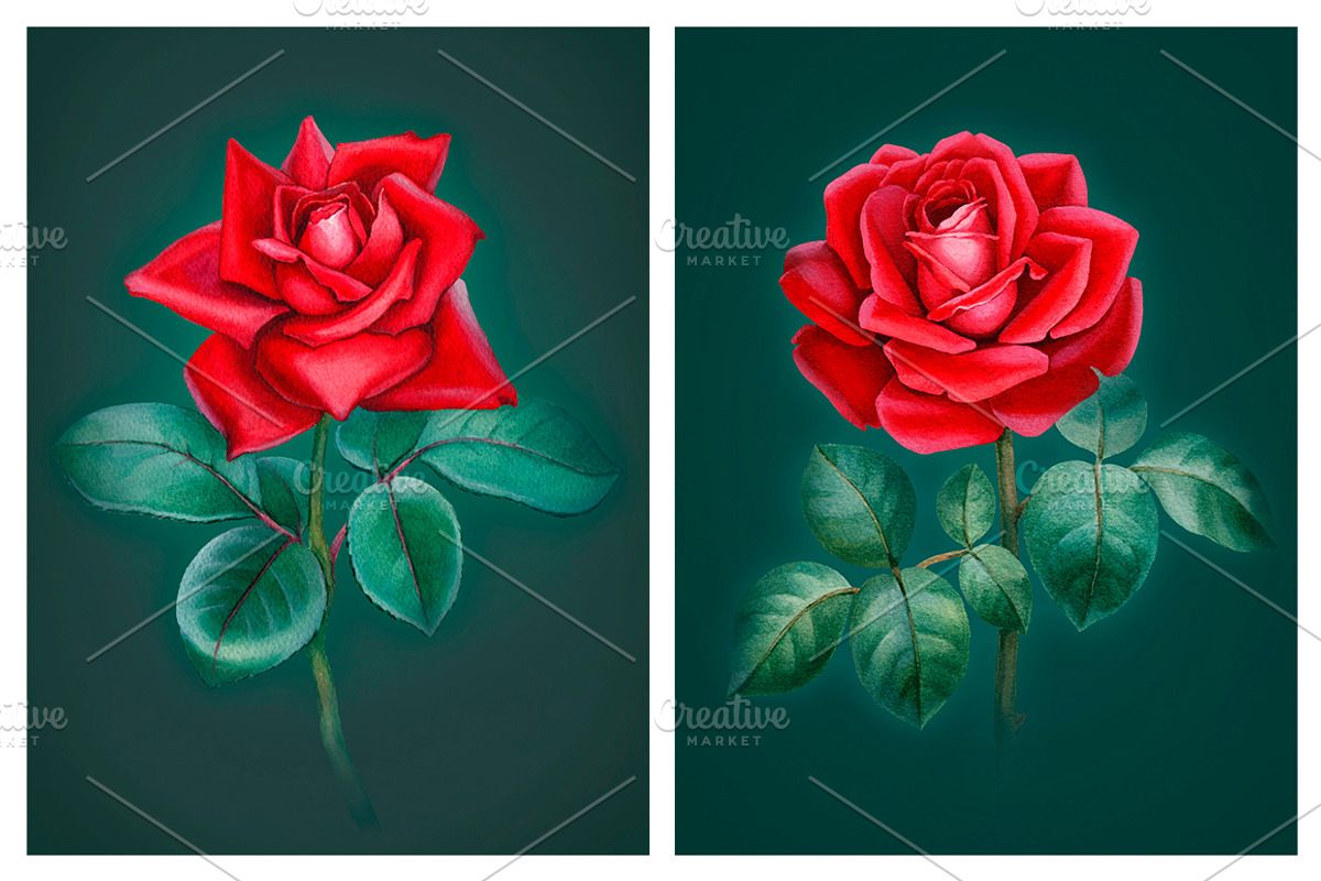 Red roses illustrations and patterns, a Texture Illustration by Sundra (Photo 8 of 11)