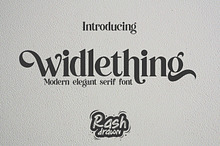Widlething - modern serif font
