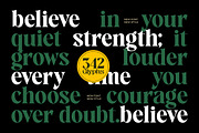 Avingal New Serif Bold Display, a Serif Font by AmorfaType (Thumbnail 3 of 11)