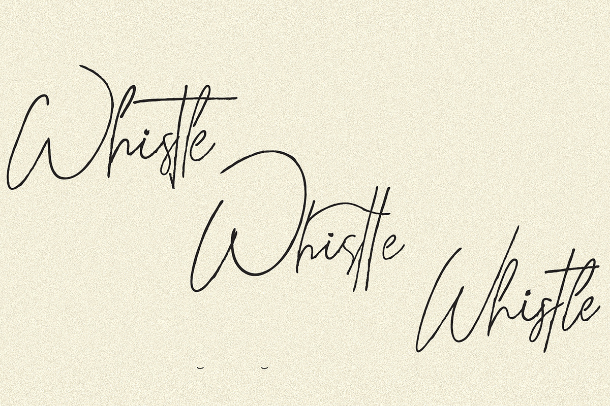 Whitley - Signature Typeface preview 3