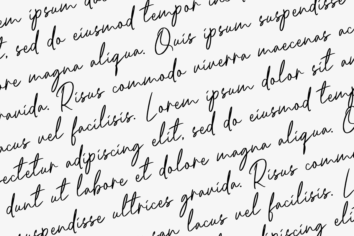 Riccardy Signature Font, a Handwritten Font by Art StoreID (Photo 13 of 15)
