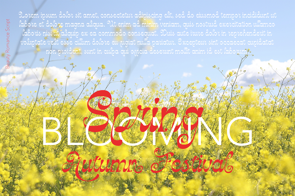 Beauty Romance Script, a Script Font by TypeClassHeroes (Photo 6 of 10)