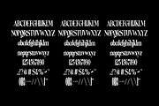 Farde - Condensed Display Serif, a Serif Font by Typeparties (Thumbnail 10 of 10)