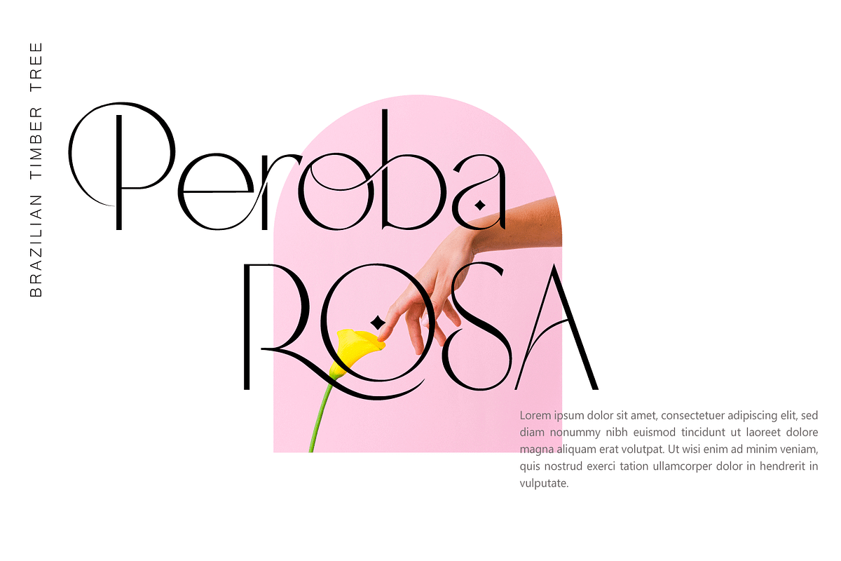 Heroliga - Modern Sans Serif Font, a Sans Serif Font by Yahya Type (Photo 13 of 23)