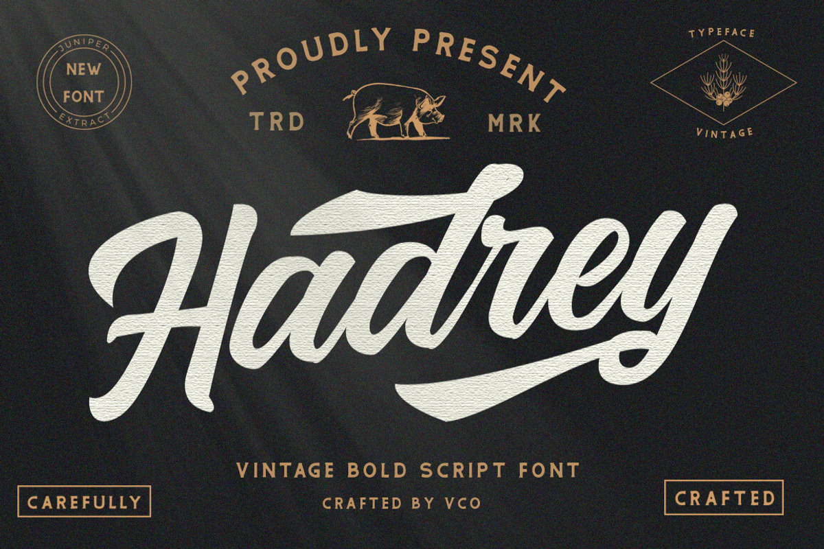 Hadrey - Vintage Bold Script, a Sans Serif Font by Vultype Co. (Photo 1 of 12)