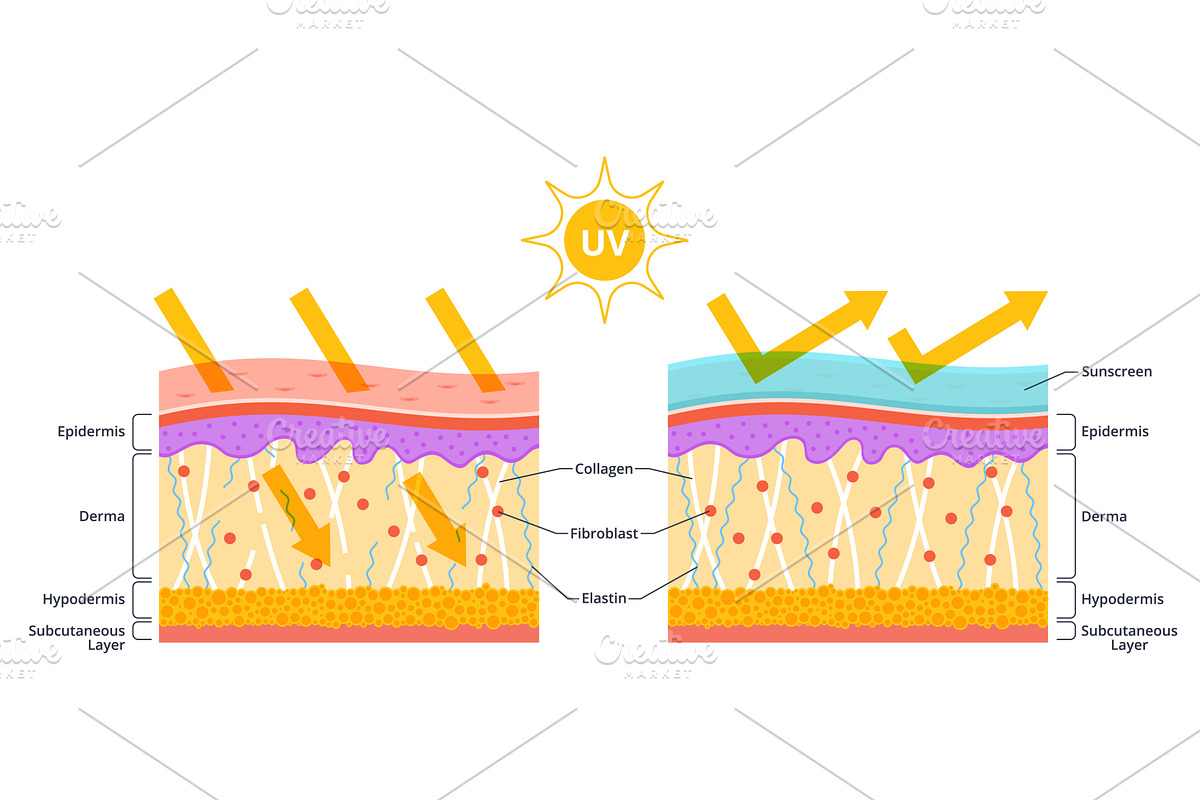 Sun protection skin scheme. Uv rays, an Object Illustration by YummyBuum