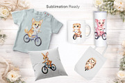 Big Eyed Animal Biking PNG Bundle, an Illustration by Artnoy (Thumbnail 6 of 8)