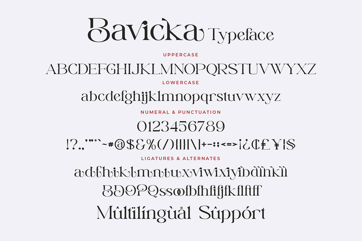 Bavicka - Stylish Ligature Font, a Serif Font by Aqeel_Art (Photo 7 of 8)