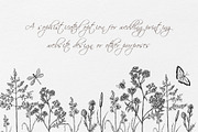 WILDFLOWERS Hand-drawn Line Art, a Seasonal Illustration by Navenzeles (Thumbnail 8 of 13)