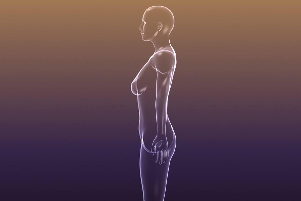 Male And Female Anatomy X-ray Bodies, a Characters & Person 3D Model by VisualCG (Photo 10 of 15)