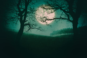The night of Halloween