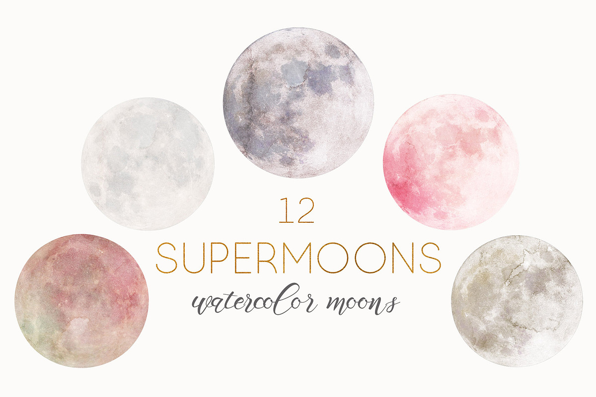 MOON BUNDLE, a Work Illustration by Chus Moreno Studio (Photo 7 of 20)