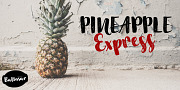 Baltasar, a Script Font by GRIN3 (Nowak) (Thumbnail 5 of 6)