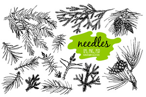 Hand drawn christmas needles.