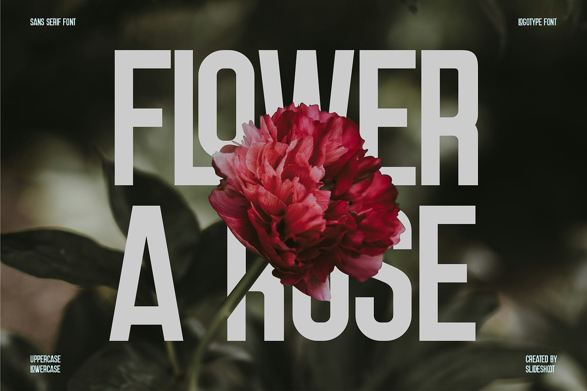Relonity || Display Sans Serif Font, a Sans Serif Font by Idea Studio (Photo 4 of 5)