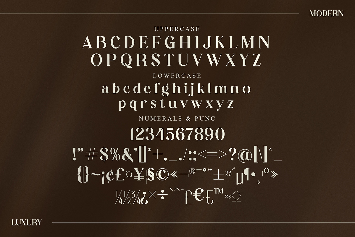 Dishta Bikailen Modern Serif Font, a Serif Font by Storytype Studio (Photo 13 of 15)