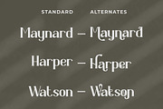 Kapecha - Modern Ligature Serif Font, a Sans Serif Font by PutraCetol Studio (Thumbnail 4 of 11)