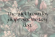 Asteria - Bold San Serif Font, a Sans Serif Font by Kami Alicja (Thumbnail 2 of 8)