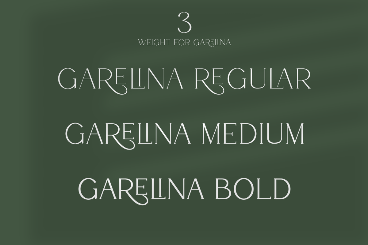 Garelina | Modern Serif Font, a Serif Font by Rissyletter Studio (Photo 6 of 11)