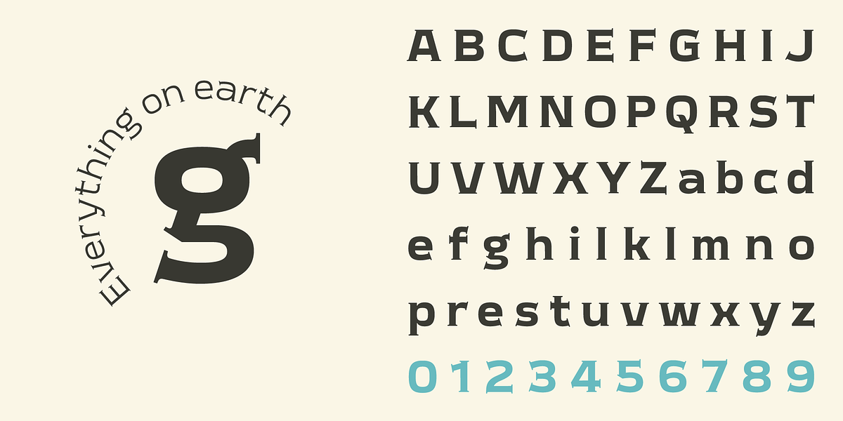 Meguro Serif, a Serif Font by GT&CANARY (Photo 4 of 12)