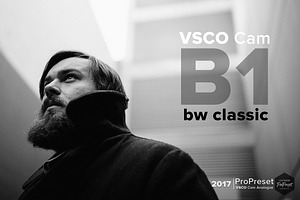 VSCO Cam Analogue B1