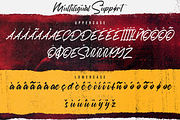 Austhind - Stylish Brush Font, a Script Font by StringLabs (Thumbnail 12 of 13)