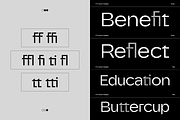 FTC Nolven Grotesk, a Sans Serif Font by Fridaytype (Thumbnail 5 of 9)