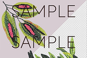 Aboriginal-Style Eucalyptus Clipart, a Decorative Illustration by Pawcasso's Portraits (Thumbnail 5 of 9)